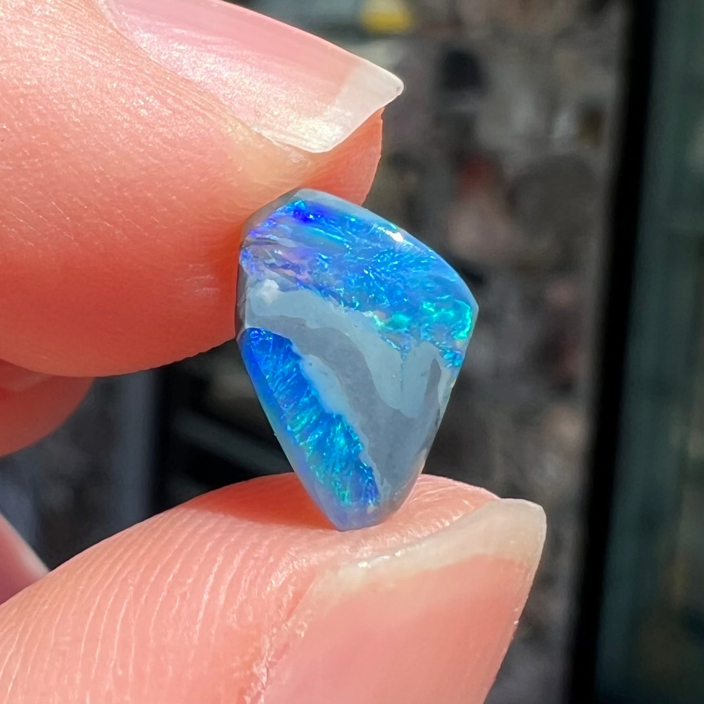 A 1.63 carat loose black opal stone from Lightning Ridge, Australia.  The opal is a freeform shape.