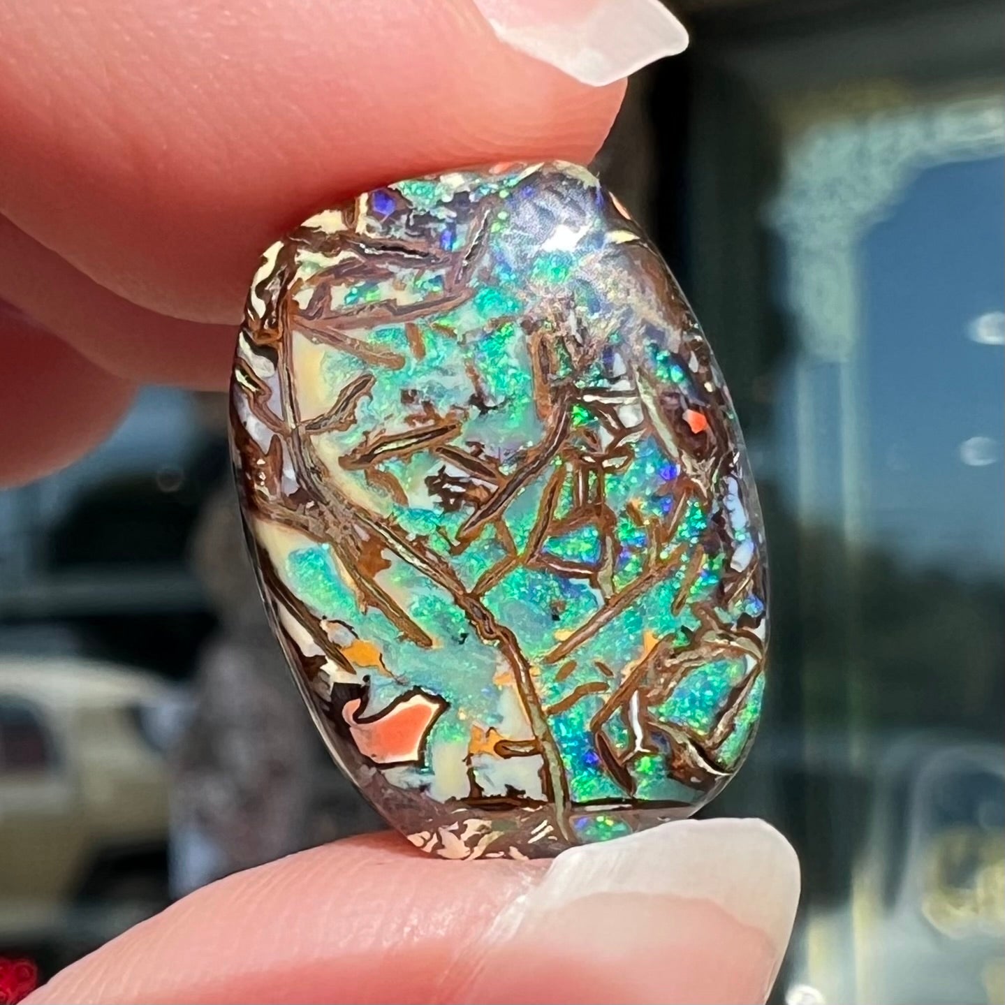 A barrel shaped boulder matrix opal from Koroit, Australia.  The opal has blue fire.