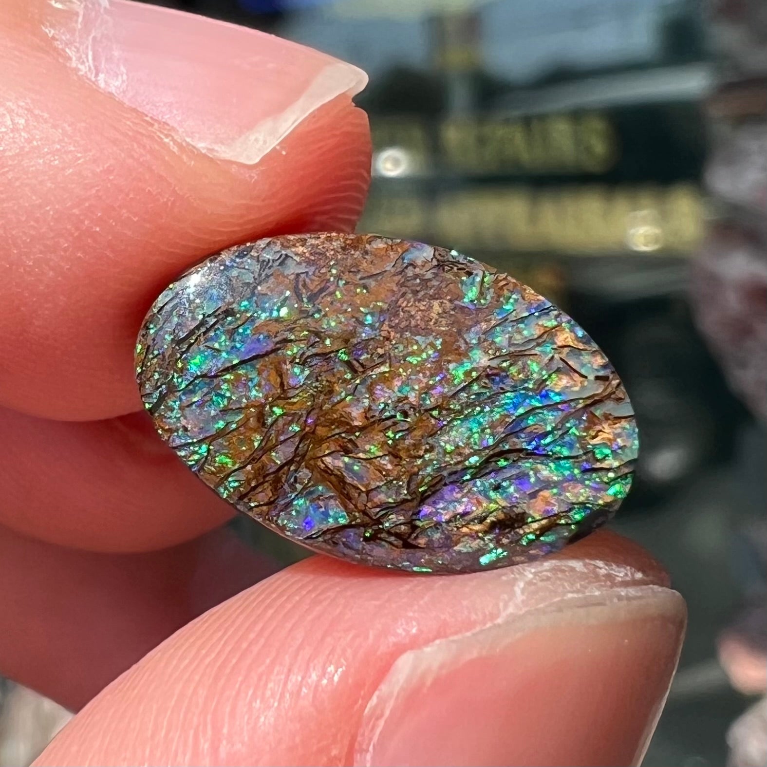 A loose, oval cabochon cut matrix boulder opal stone from Koroit, Australia.  The opal shines with green and blue colors.