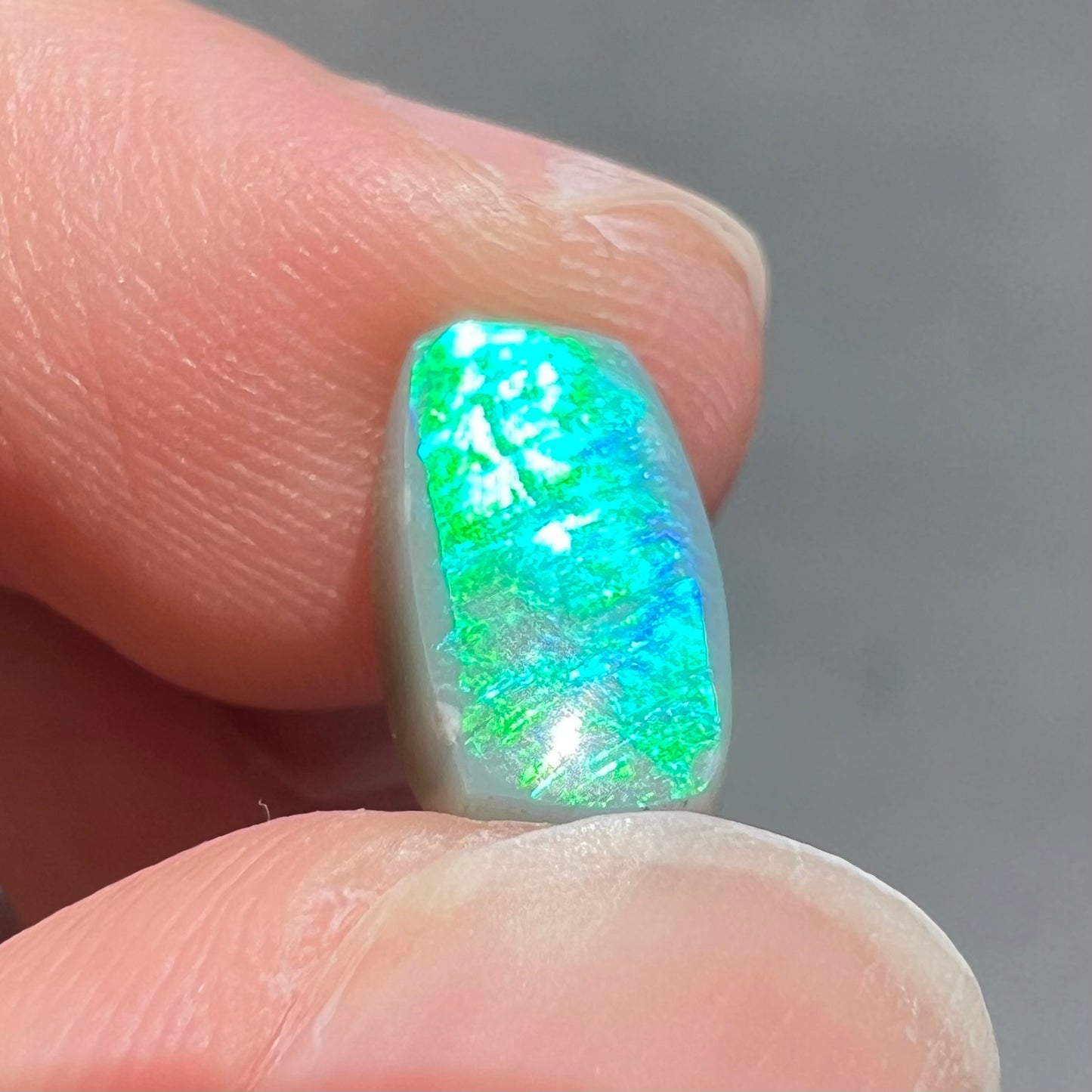 A loose semi-black opal from Lightning Ridge, Australia.  The opal flashes bright green and blue colors.