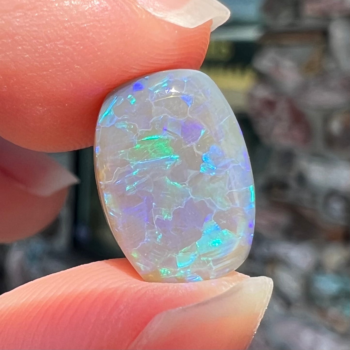 A loose, barrel shaped semi-black opal from Lightning Ridge, Australia.  The opal has blue colors.