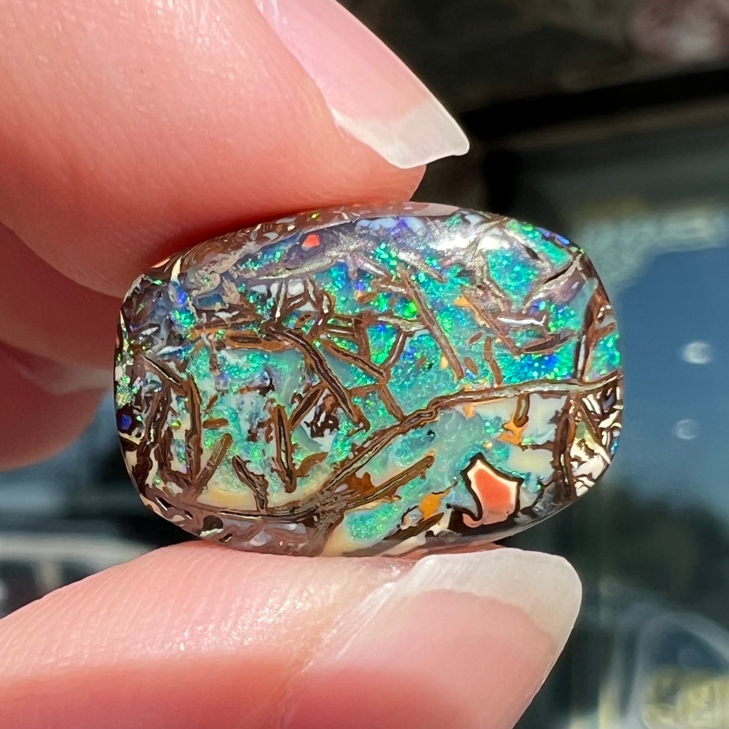 A barrel shaped boulder matrix opal from Koroit, Australia.  The opal has blue fire.