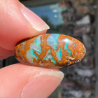 An oval cabochon cut boulder opal stone from Koroit, Australia.  The opal has a blue color.