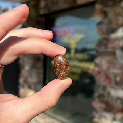 An oval cabochon cut boulder opal stone with green, blue, purple, and red play of color.