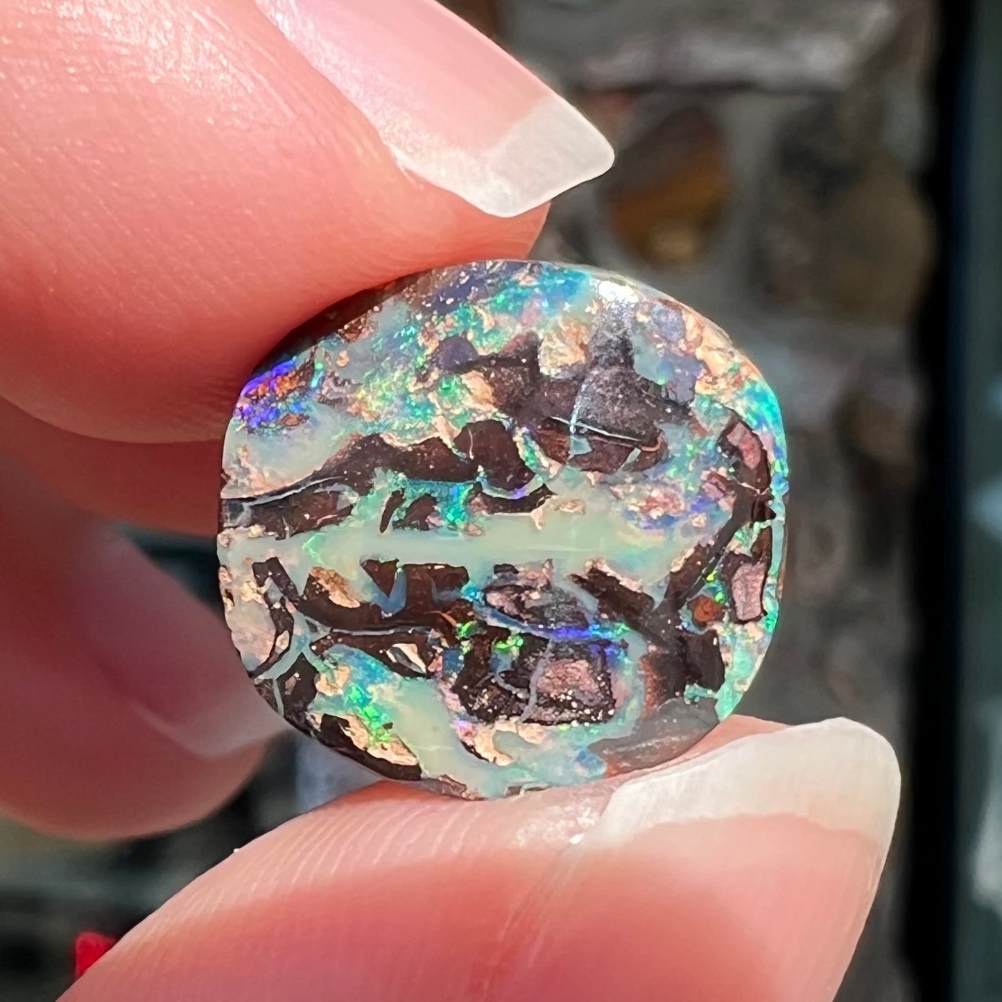 An off-round cabochon cut boulder opal stone from Koroit, Australia.  The opal has green, blue, and red colors.