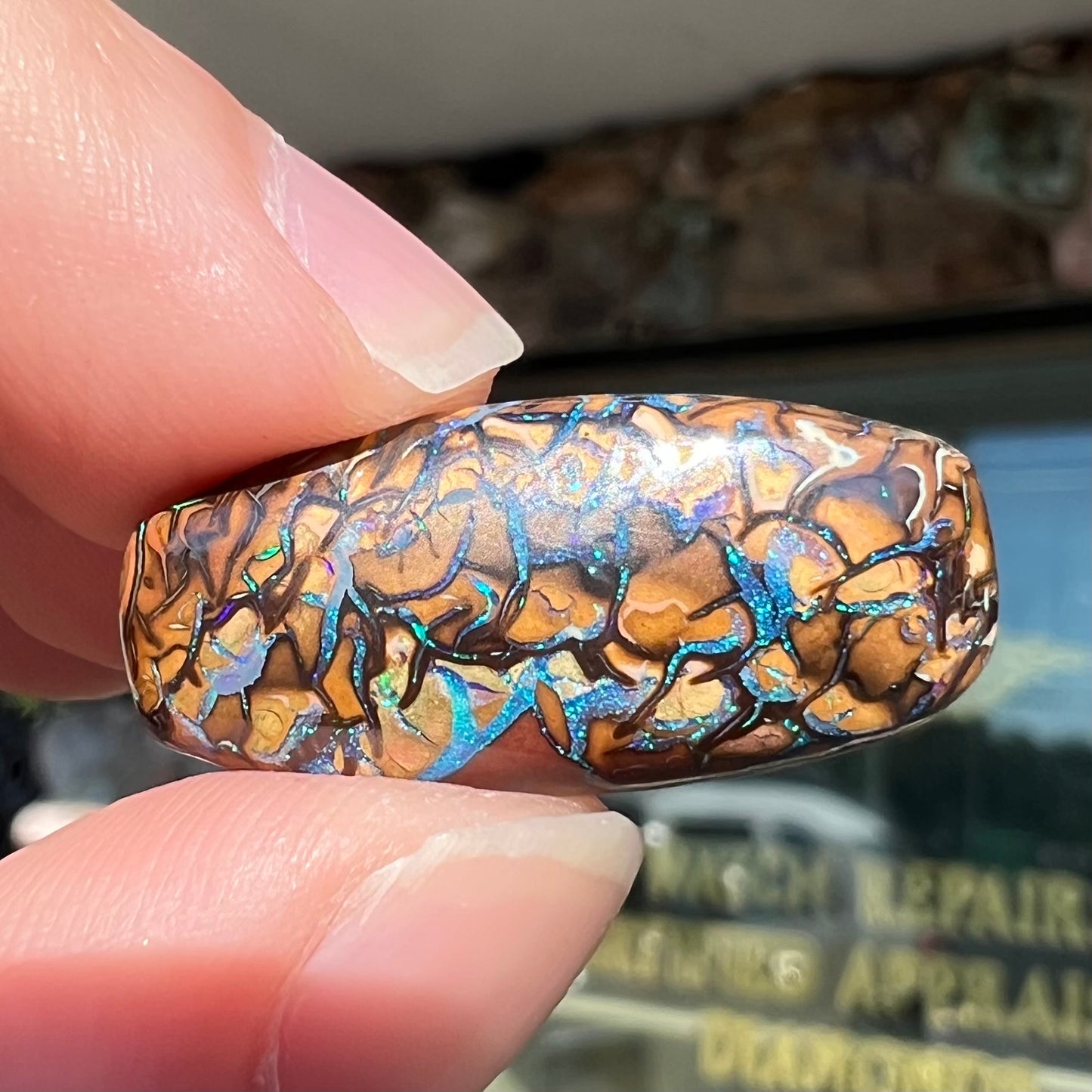 A loose, barrel shaped Koroit boulder opal stone with blue veins.