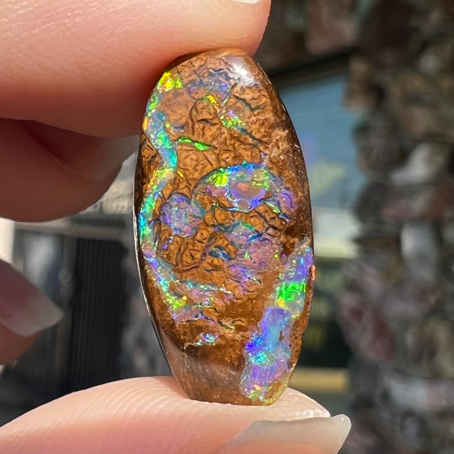 11.65ct Koroit Boulder Matrix Opal | #E202