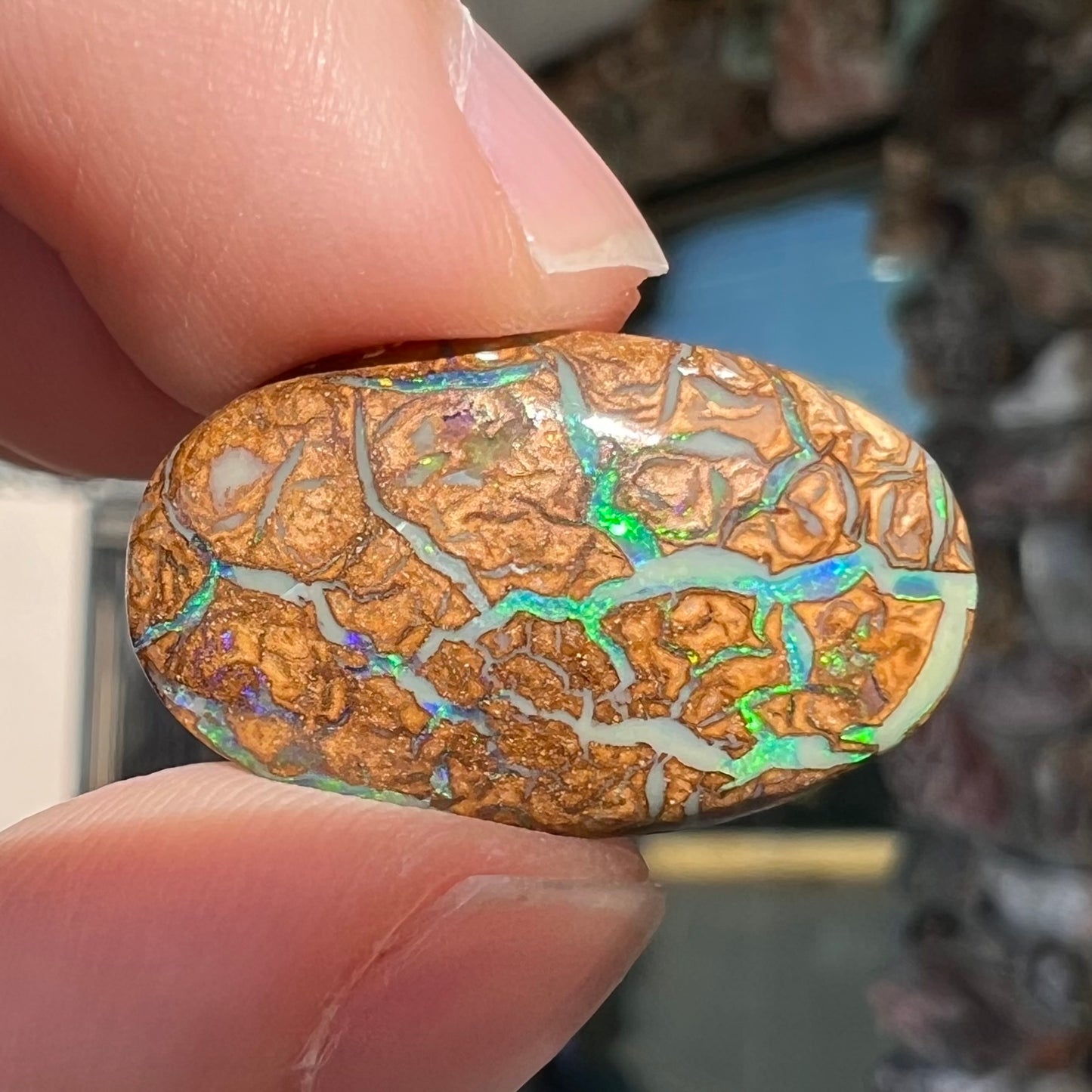 11.82ct Koroit Boulder Matrix Opal | #E184