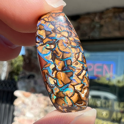 A loose, barrel shaped Koroit boulder opal stone with blue veins.