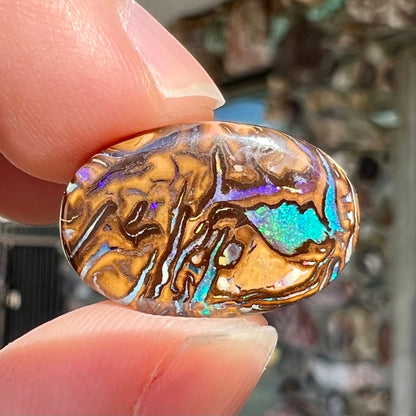 9.81ct Koroit Boulder Matrix Opal | #E185