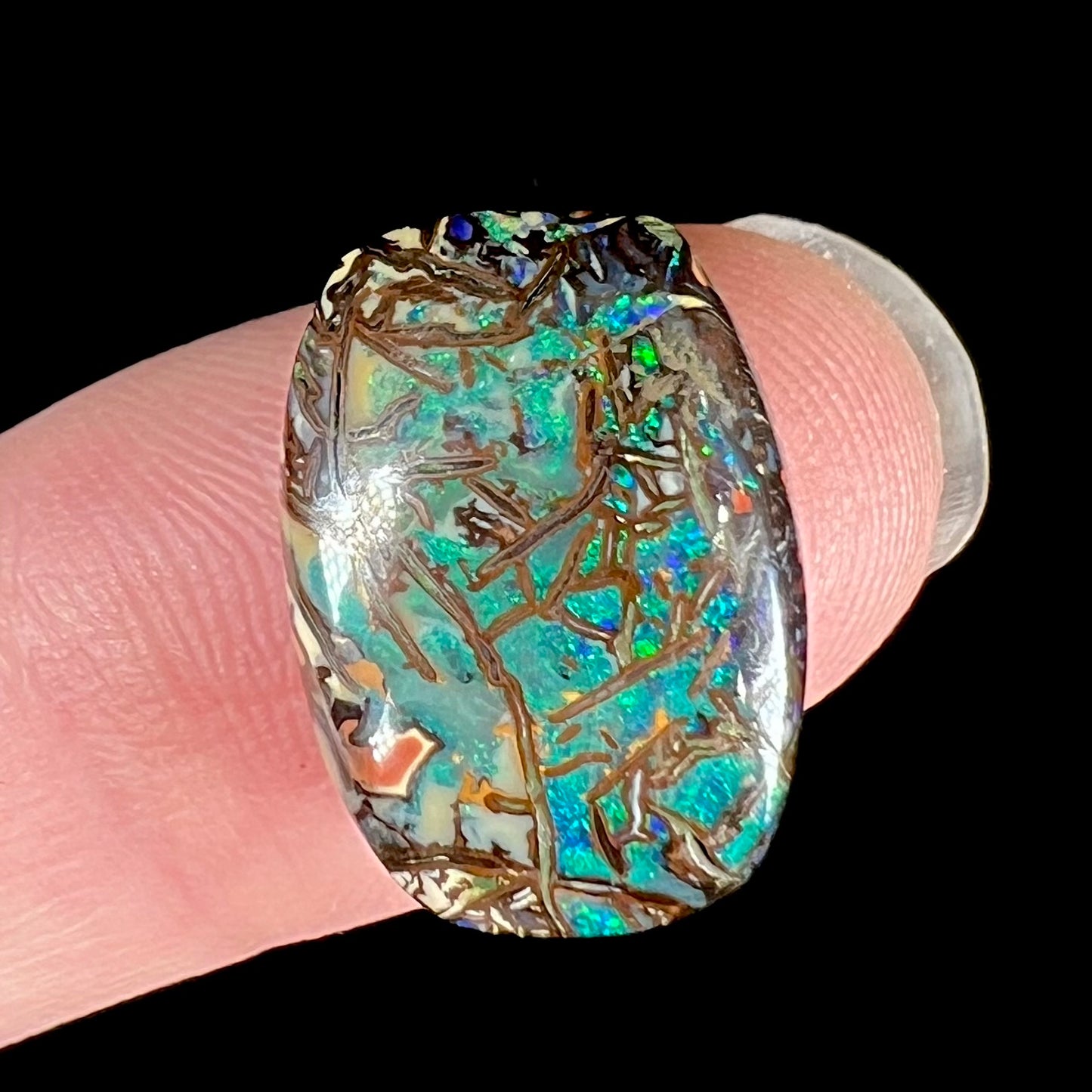 A barrel shaped boulder matrix opal from Koroit, Australia.  The opal has blue fire.