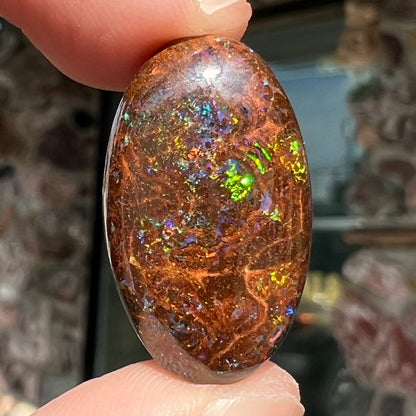 An oval cabochon cut boulder opal stone with green, blue, purple, and red play of color.