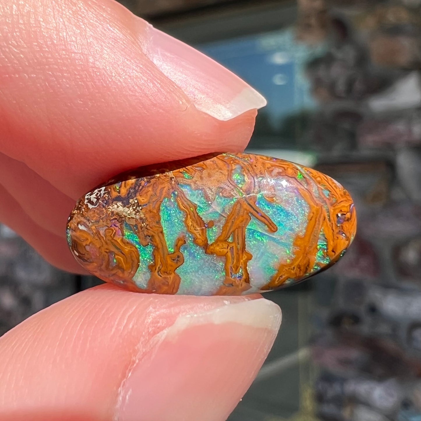 An oval cabochon cut boulder opal stone from Koroit, Australia.  The opal has a blue color.