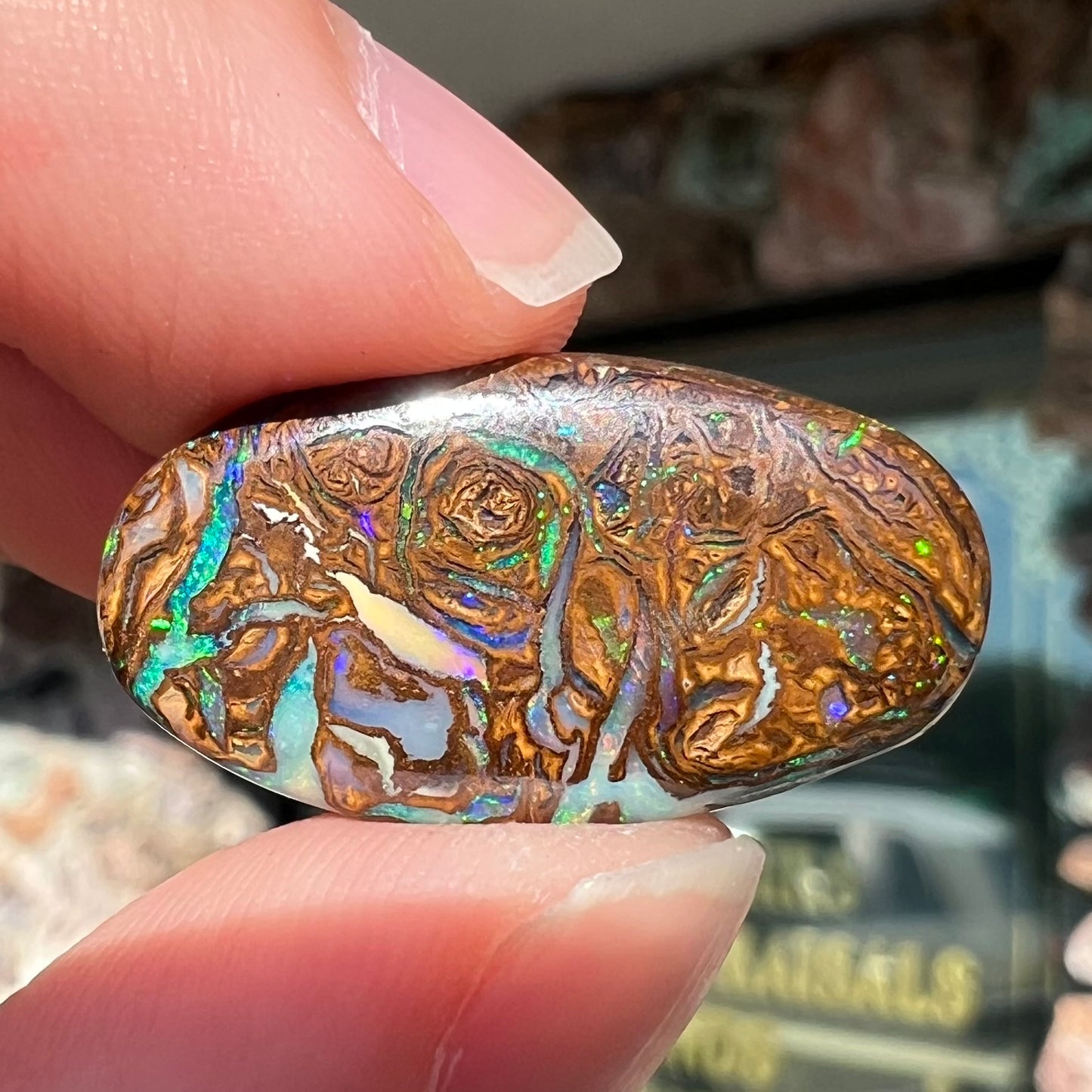 A loose, oval shaped Koroit boulder matrix opal.  The stone has patterns that resembles a rose.