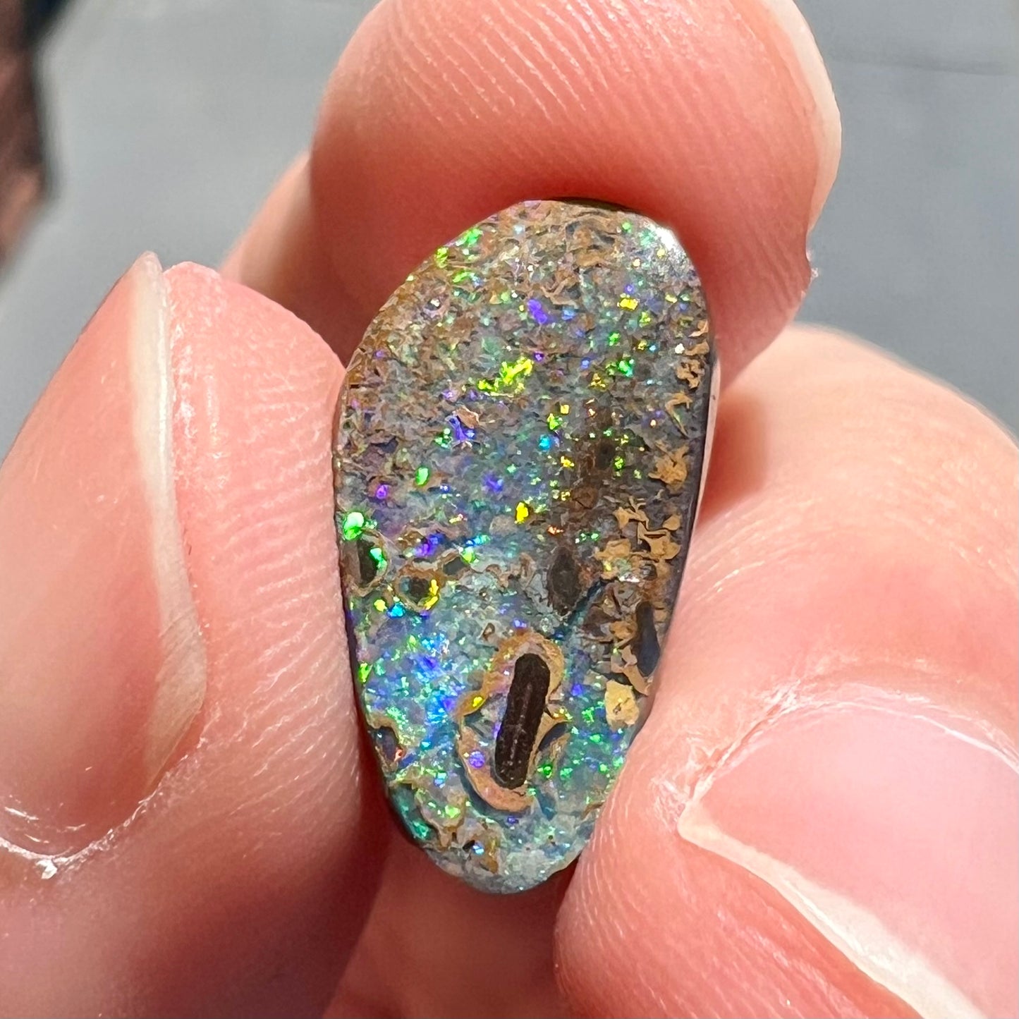 A loose boulder opal stone from Quilpie, Australia.  The opal shines colors of green and orange.