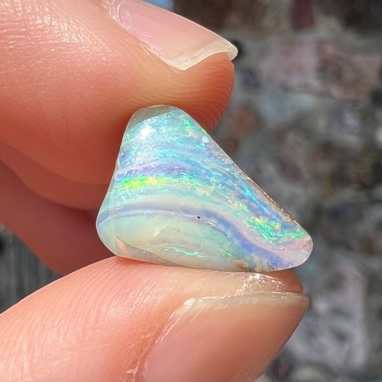 A loose, freeform boulder opal stone from Quilpie, Australia.  The opal has a fissure inclusion.