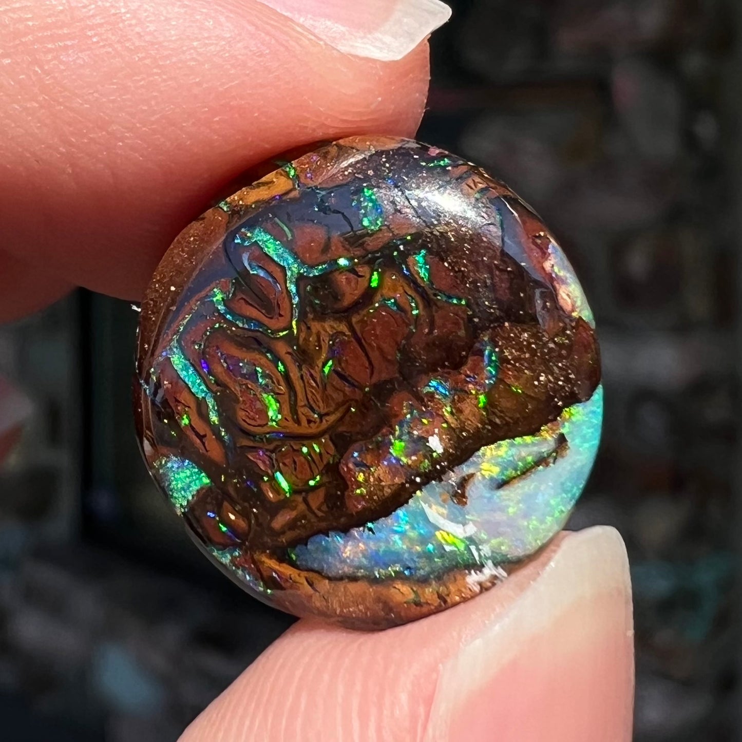 8.95ct Koroit Boulder Matrix Opal | #E127