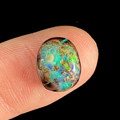 An oval cabochon cut boulder opal stone with green and blue color play.