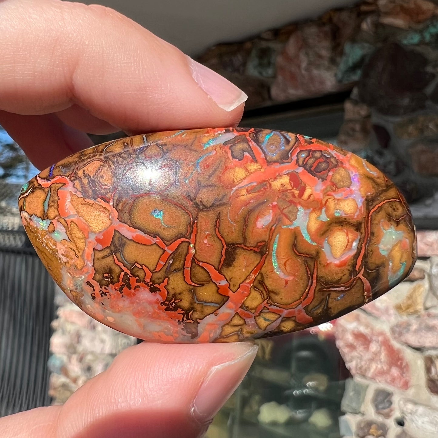 A polished boulder opal stone from Koroit, Australia.  The stone has been drilled with a bead hole.