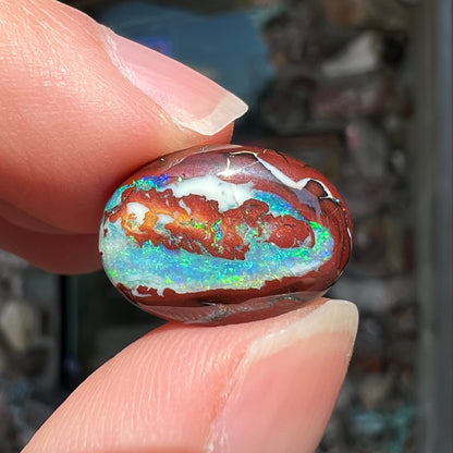 A loose, oval cabochon cut boulder opal stone from Australia.  The opal has blue and green veins in an ironstone matrix.