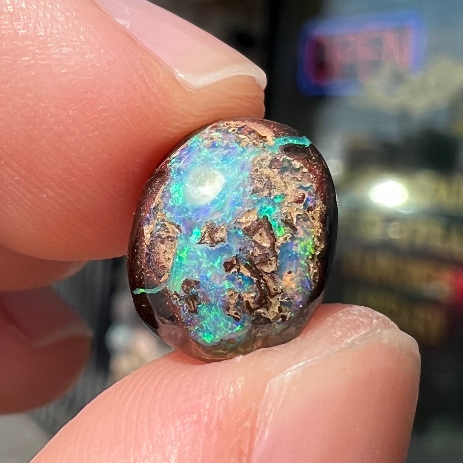 An oval cabochon cut boulder opal stone with green and blue color play.