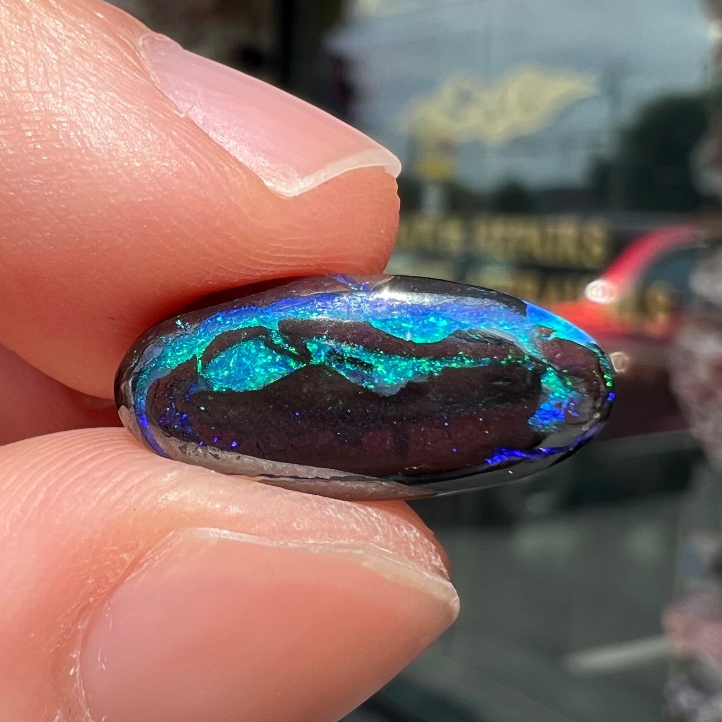 A loose, oval cabochon cut boulder opal stone.  The stone has bright blue and purple veins.