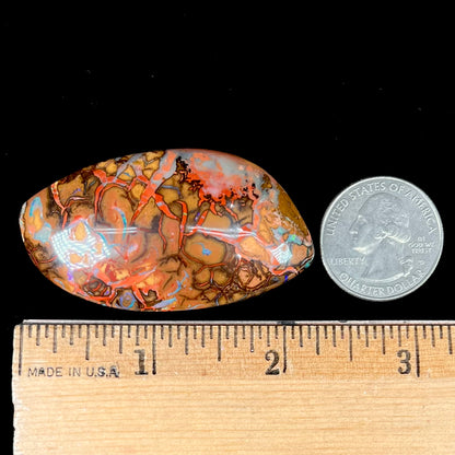 A polished boulder opal stone from Koroit, Australia.  The stone has been drilled with a bead hole.