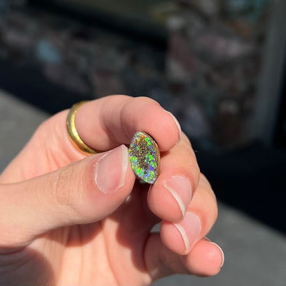 A loose boulder opal stone from Quilpie, Australia.  The opal has bright green and blue flashes.