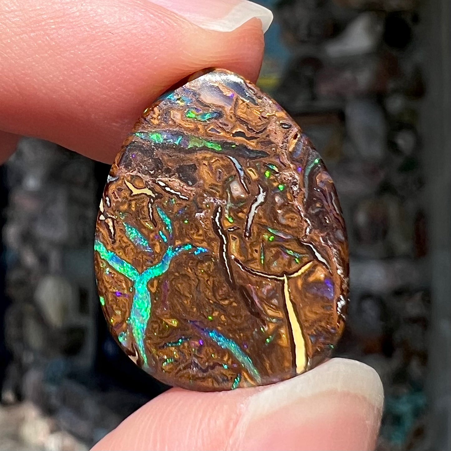 A loose, pear shaped boulder opal stone from Koroit, Australia that has vivd green and blue veins of color.