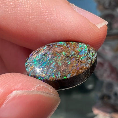 A loose, oval cabochon cut matrix boulder opal stone from Koroit, Australia.  The opal shines with green and blue colors.