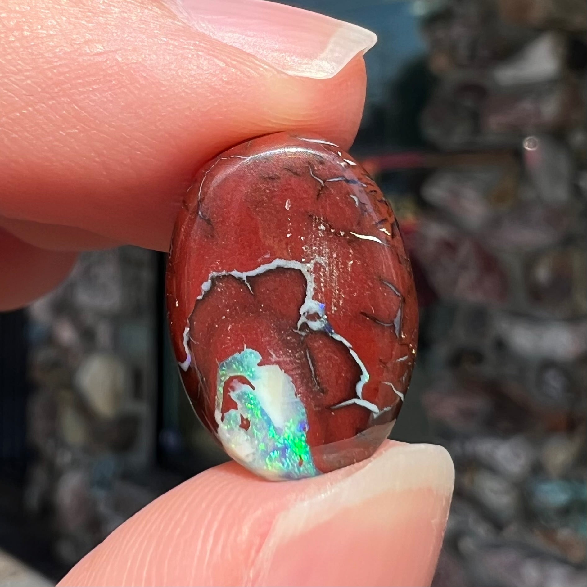 A loose, oval cabochon cut boulder opal stone from Australia.  The opal has blue and green veins in an ironstone matrix.