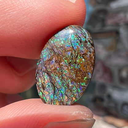 A loose, oval cabochon cut matrix boulder opal stone from Koroit, Australia.  The opal shines with green and blue colors.