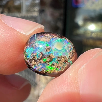 An oval cabochon cut boulder opal stone with green and blue color play.