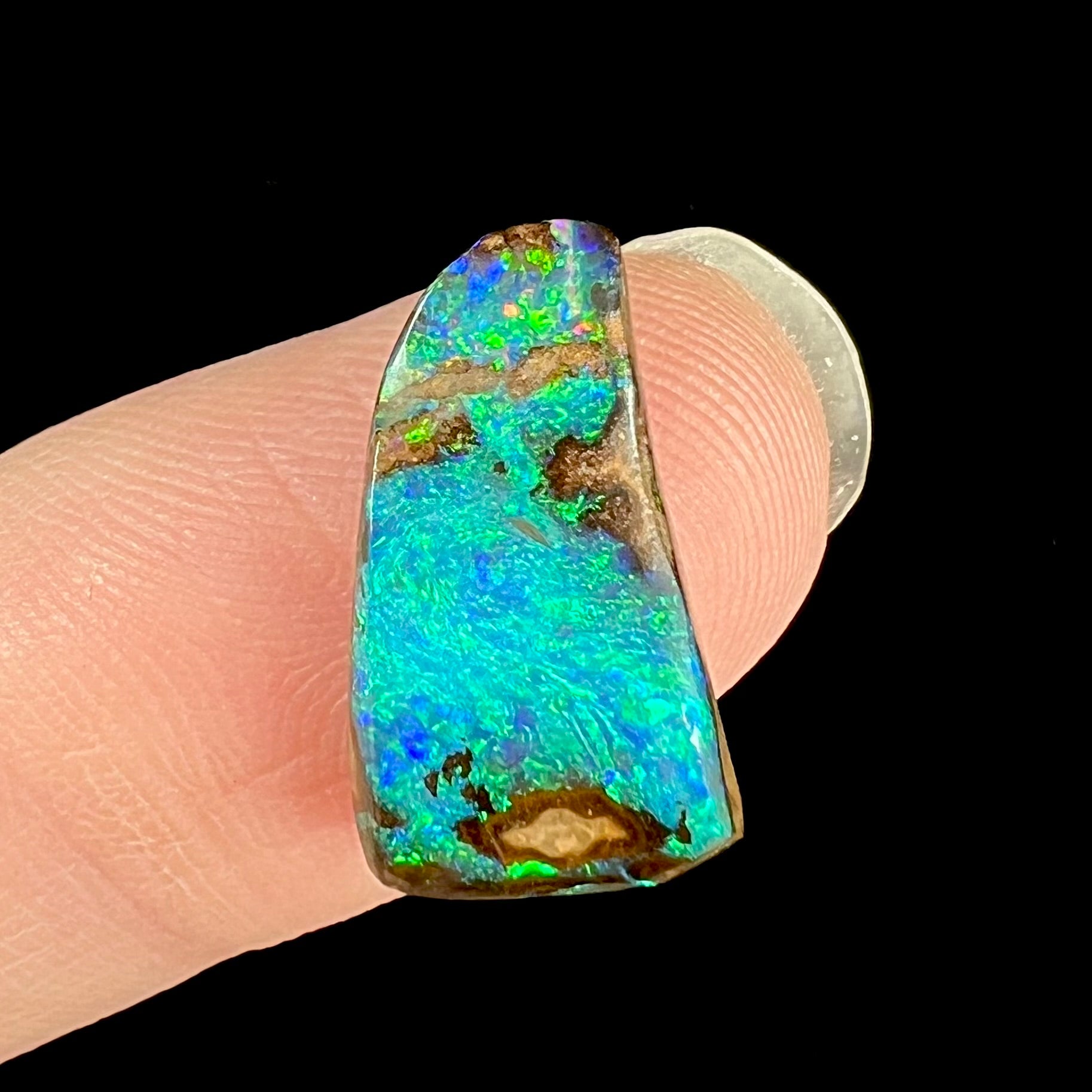 A lose boulder opal stone with bright blue body color and green color play.