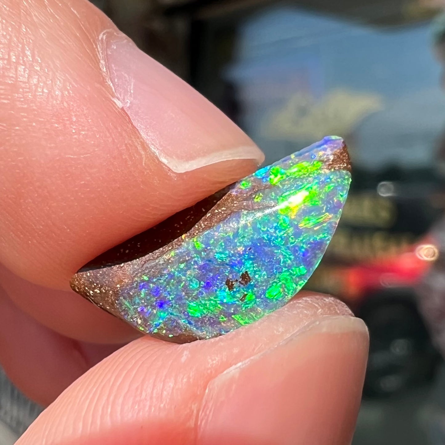 A freeform shaped boulder opal stone from Quilpie, Australia.  The opal has bright blue and green play of color.