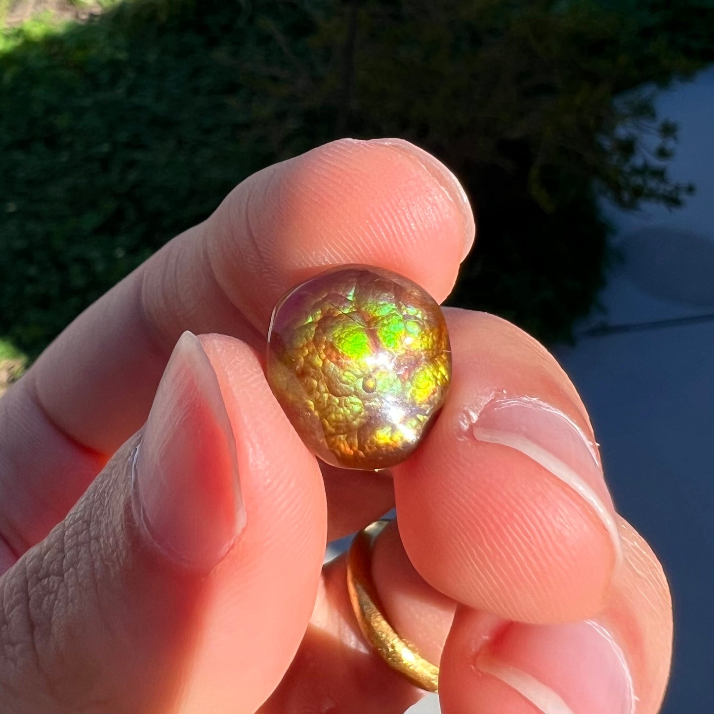 An iridescent green, yellow, and red Mexican fire agate stone.  The stone is an off-round cabochon.