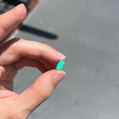 A loose semi-black opal from Lightning Ridge, Australia.  The opal flashes bright green and blue colors.