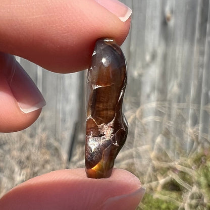 8.92ct Mexican Fire Agate, Full Color