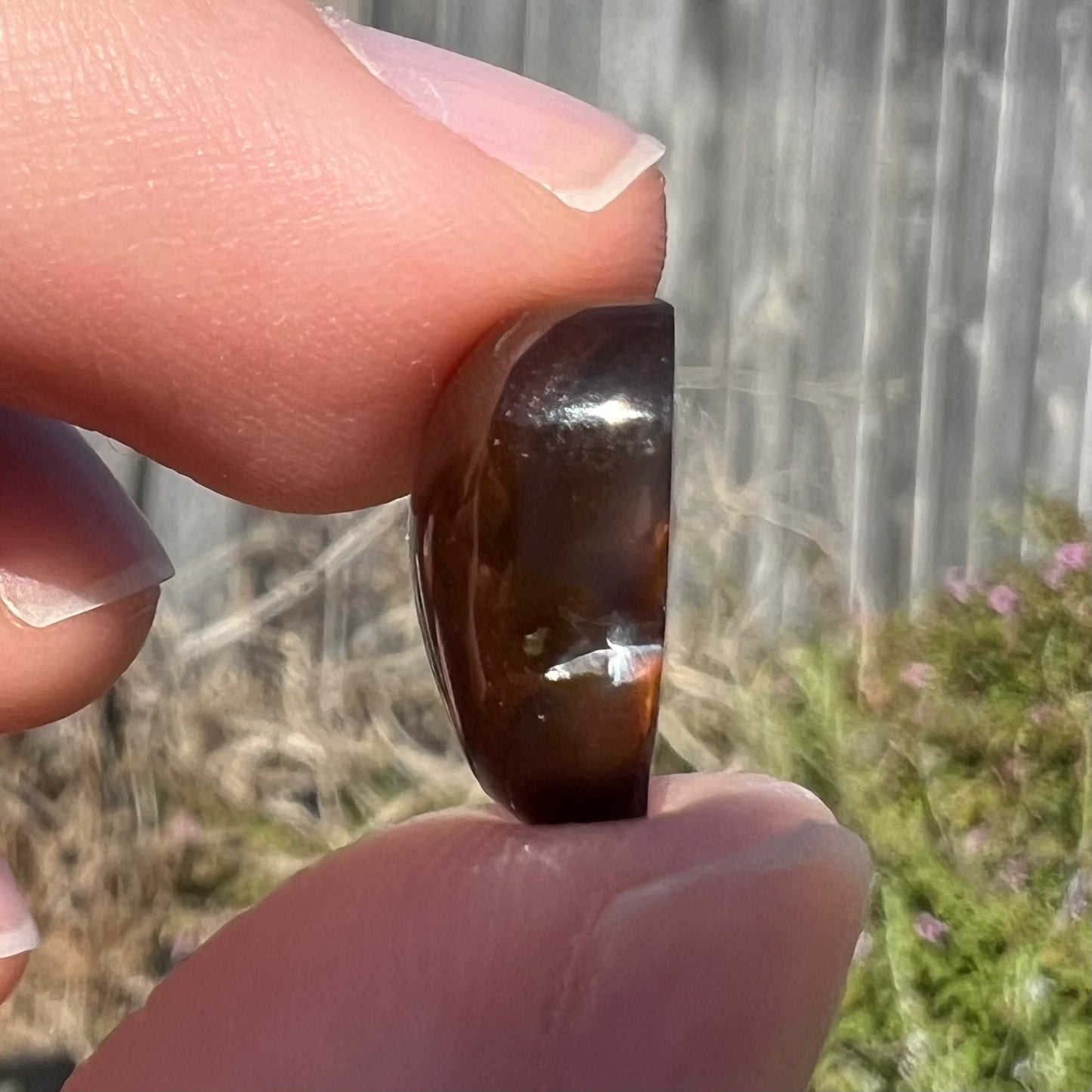 7.85ct Mexican Fire Agate