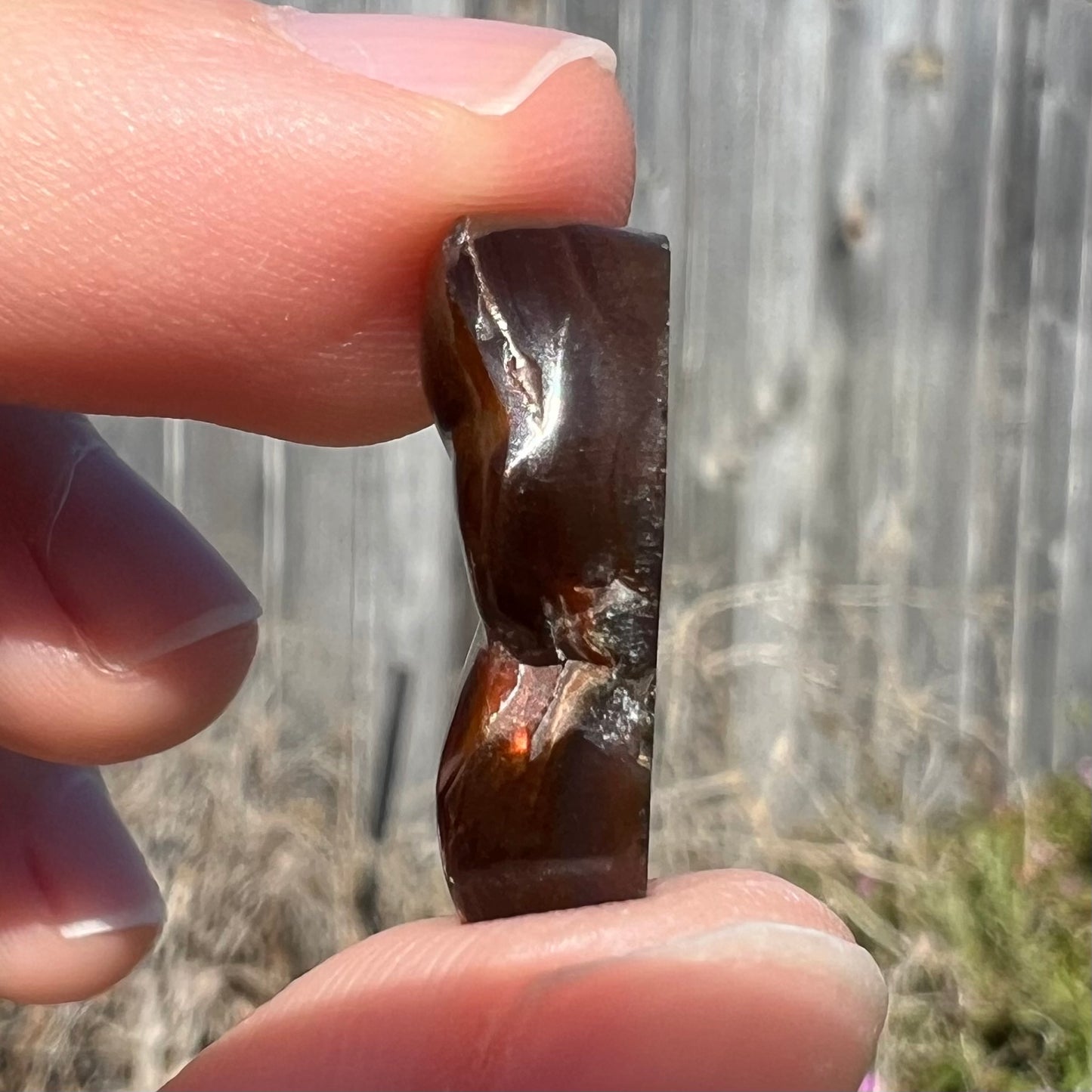 13.82ct Mexican Fire Agate