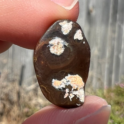 7.85ct Mexican Fire Agate, Metallic Luster