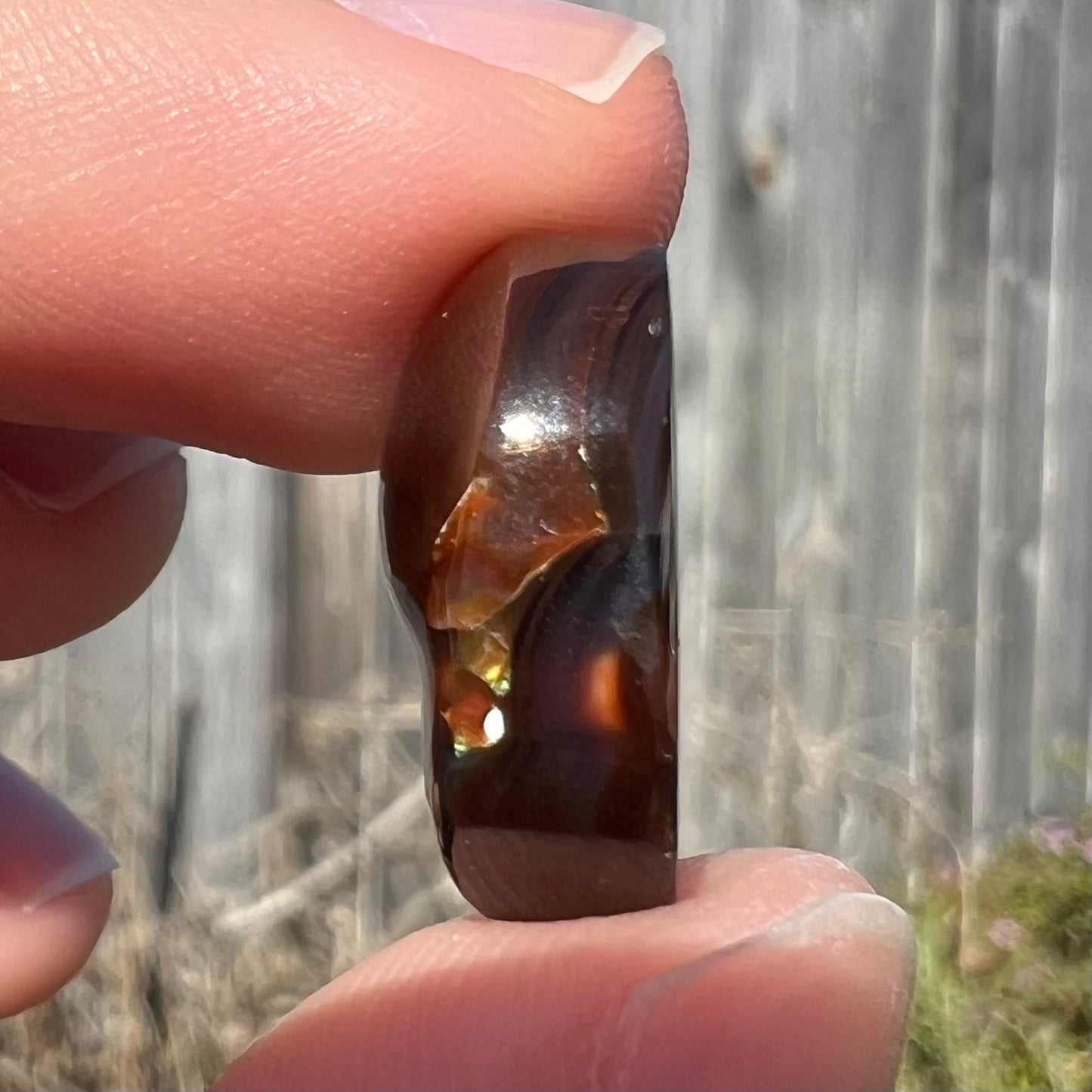 11.57ct Mexican Fire Agate