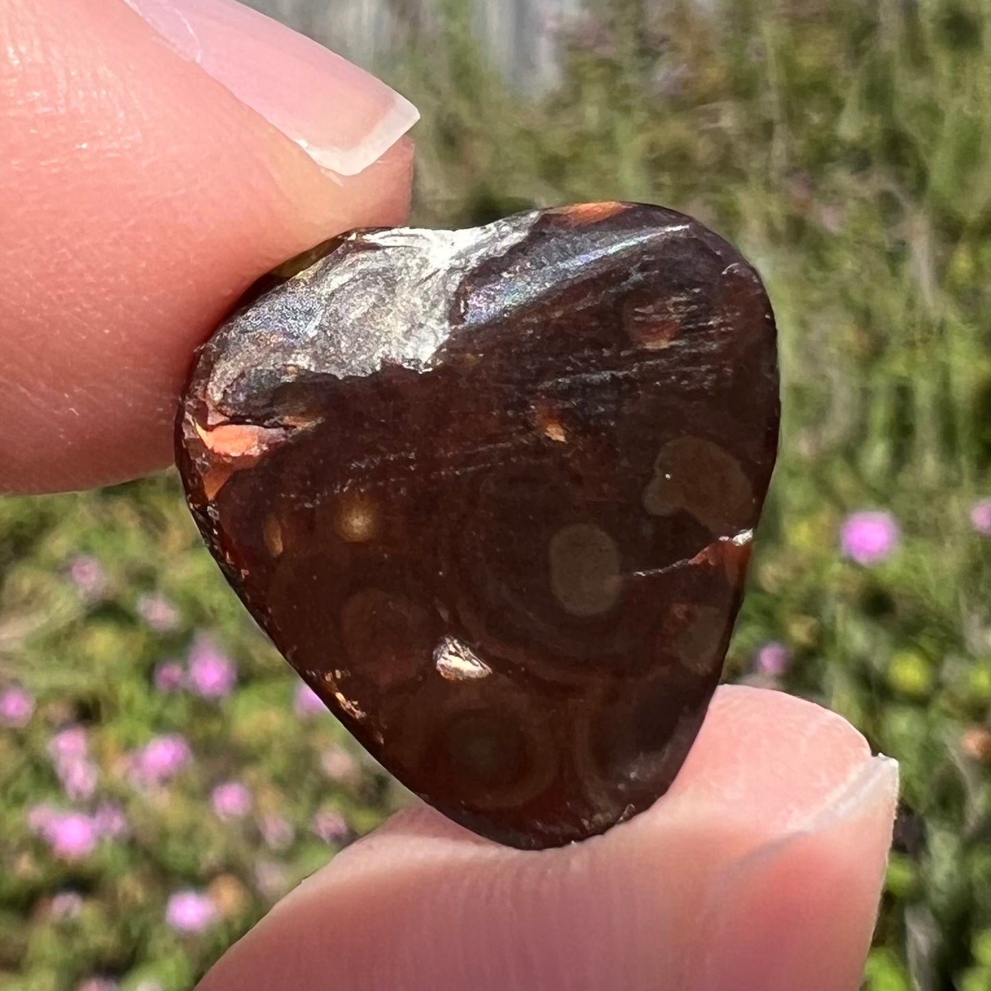 6.38ct Mexican Fire Agate, Pendant Stone