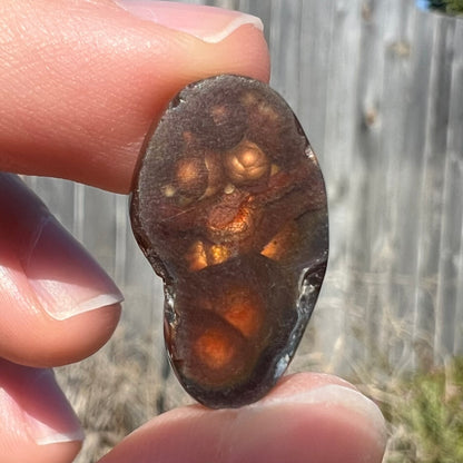 13.82ct Mexican Fire Agate