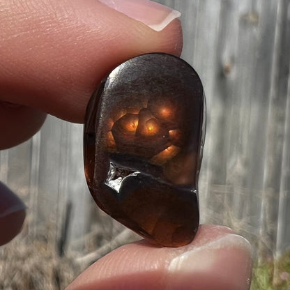 11.57ct Mexican Fire Agate