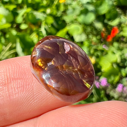 An oval cabochon cut Mexican fire agate stone.  The stone's predominant colors are green, yellow, orange, and blue.