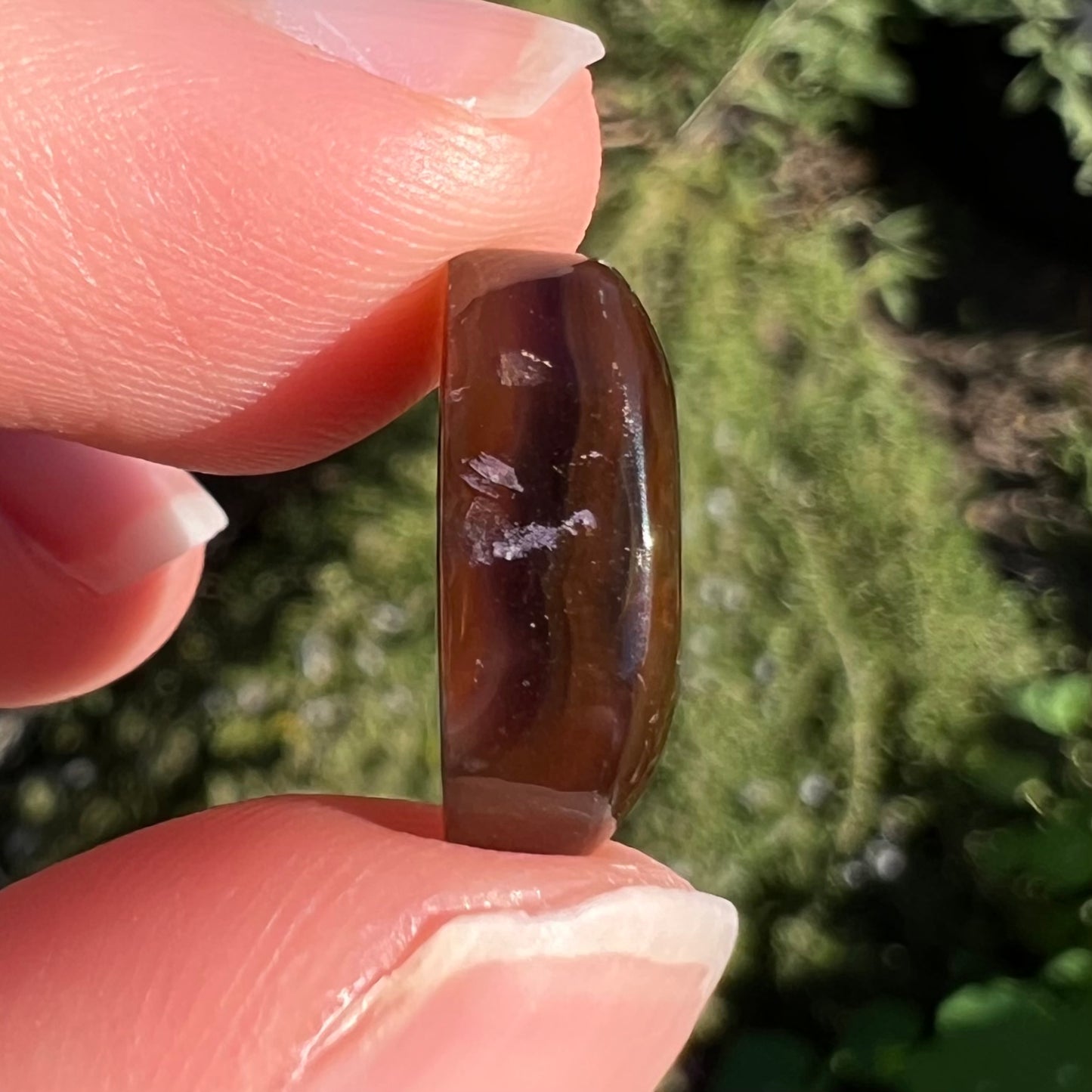 A loose Mexican fire agate cabochon.  The stone has a bright purple and blue iris pattern.