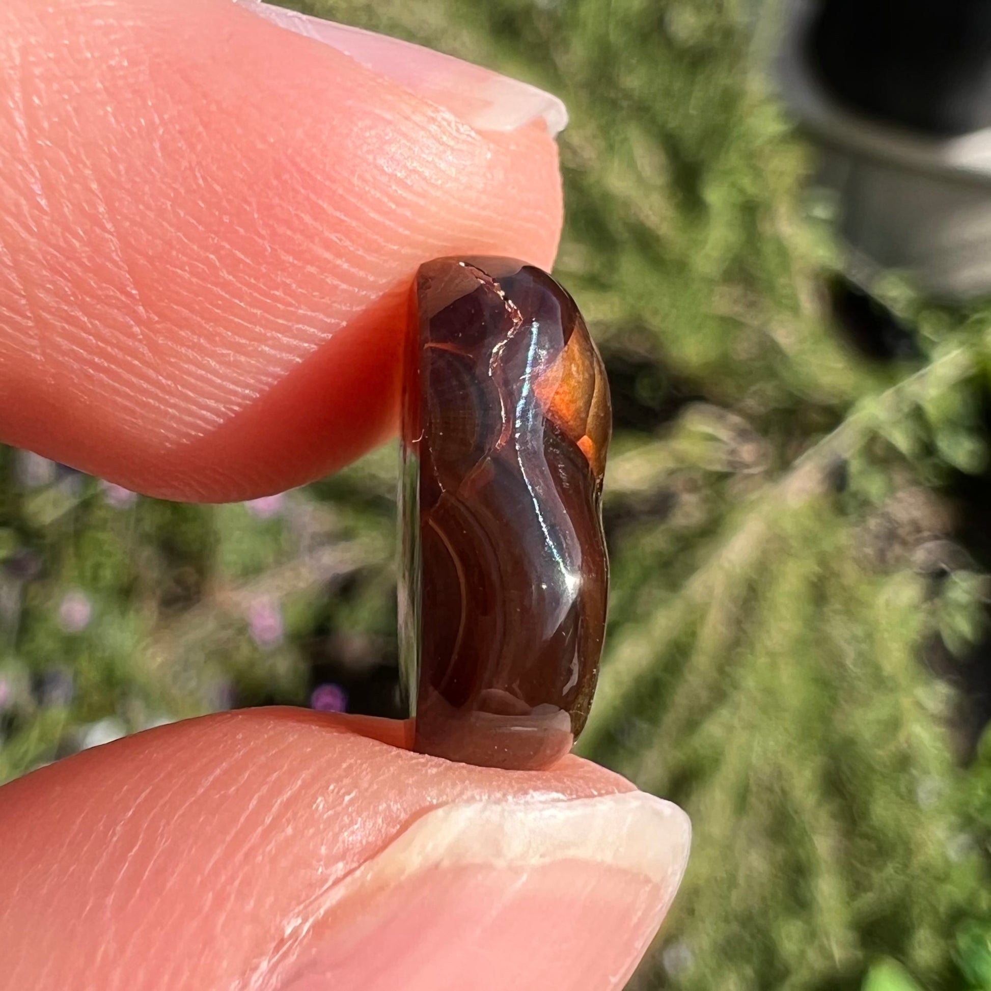 A loose, freefrom cabochon cut Mexican fire agate stone.  The stone has red, green, yellow, and purple banding.