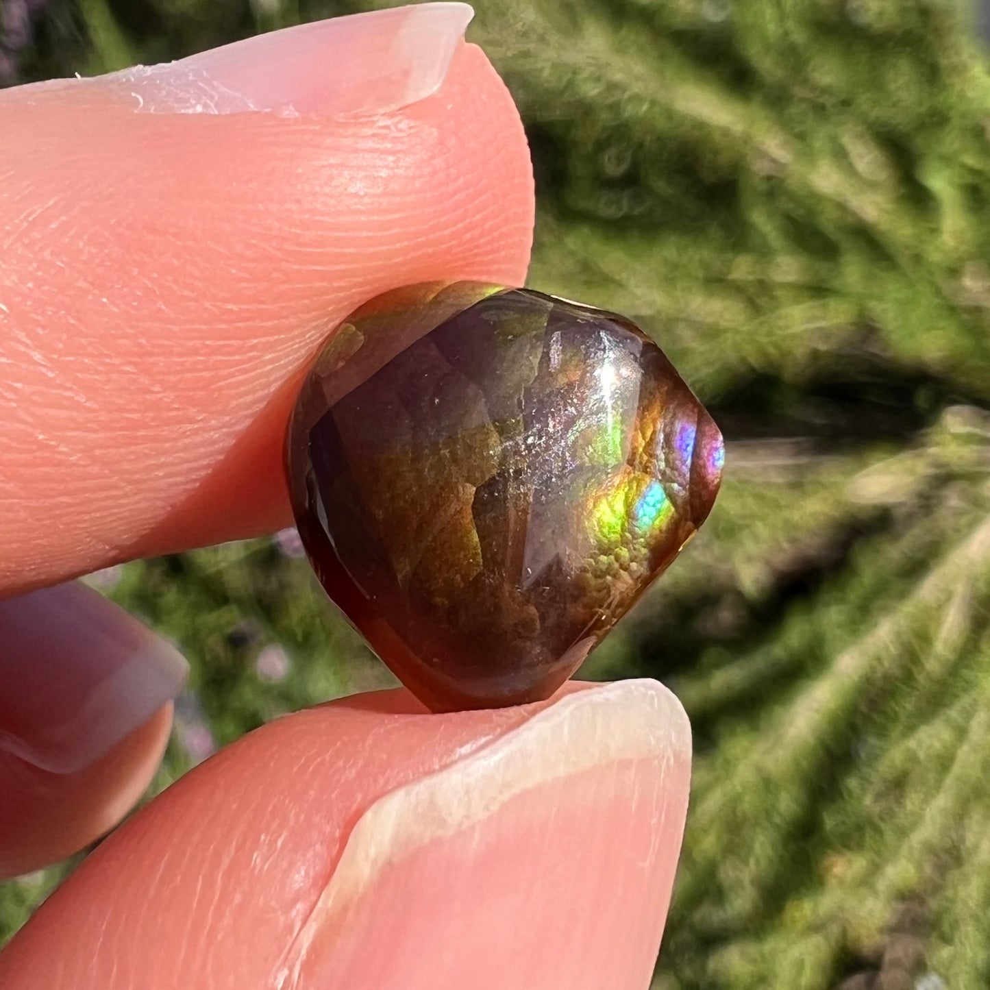 A freeform cabochon cut Mexican fire agate stone.  The stone has a bright purple flash with green, yellow, and orange.