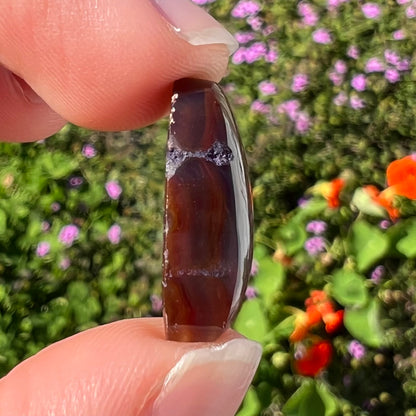 A loose, cabochon cut fire agate gemstone.  The stone resembles a foot with a green heel and yellow toes.